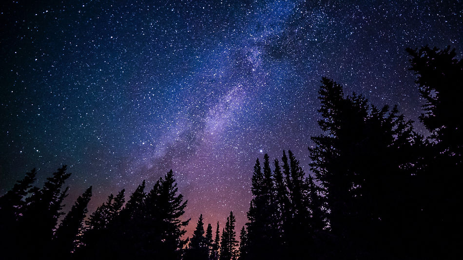 Image by Ryan Hutton