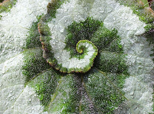 Image by Erik Packard