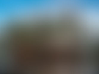 The Vital Role of Mangroves in Tackling Climate Change