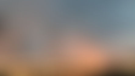 BoJ's Ueda makes his 1st move / Fed speakers / G20 : diplomatic win for Modi