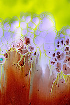 Image by Solen Feyissa