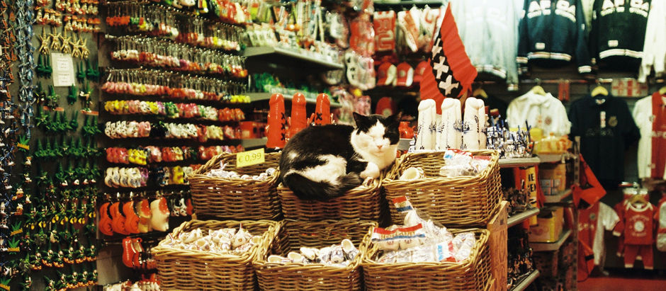 Snack Products, Machinery