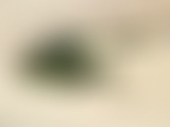 Springs in the Desert