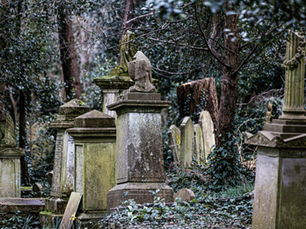 Facing the Cold Reality of Death