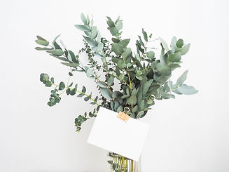 Image by Helena Hertz