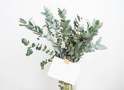 Image by Helena Hertz