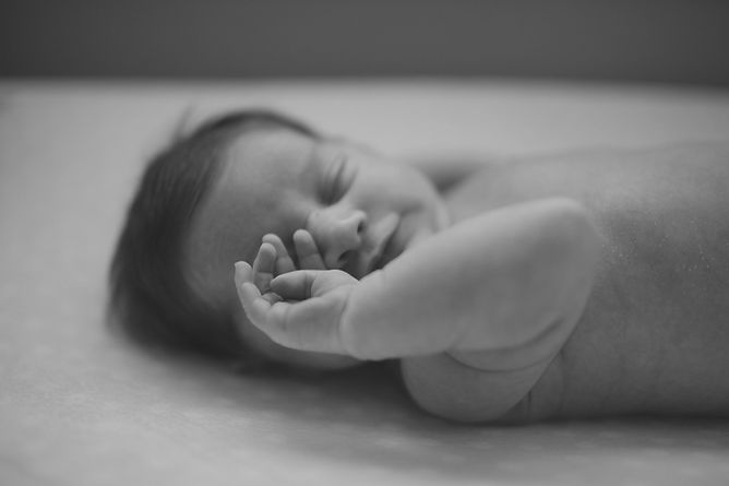 Image by Jenna Norman