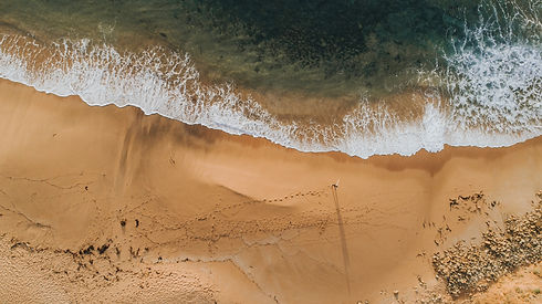 Image by Aleksandar Jason