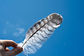 Blue Sky and Feathers