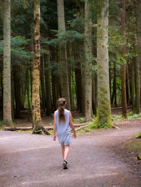 The Ongoing Debate Over First vs. Third Person POV