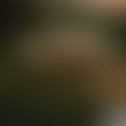 Indigenous Tribes of Costa Rica