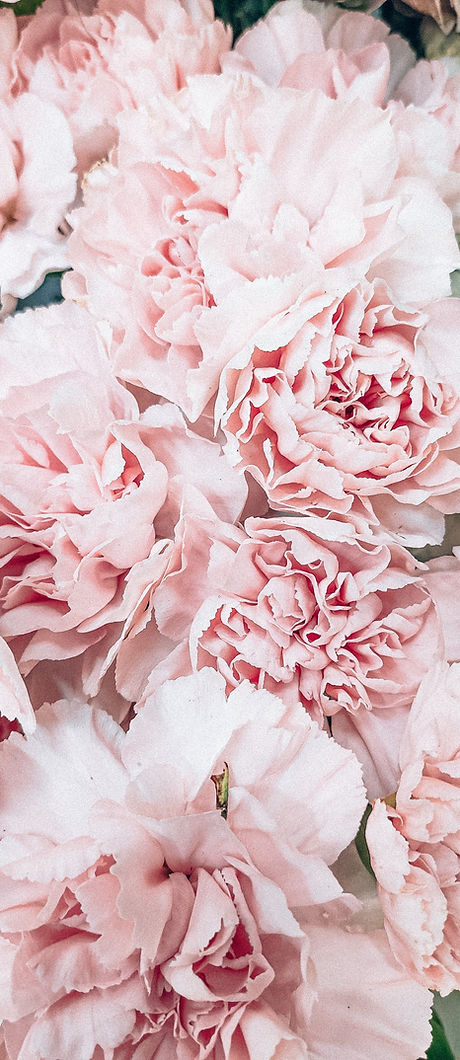 massage crânien à la rose