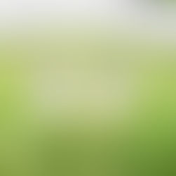 Neden bir düğün planlamacısına ihtiyacınız var?