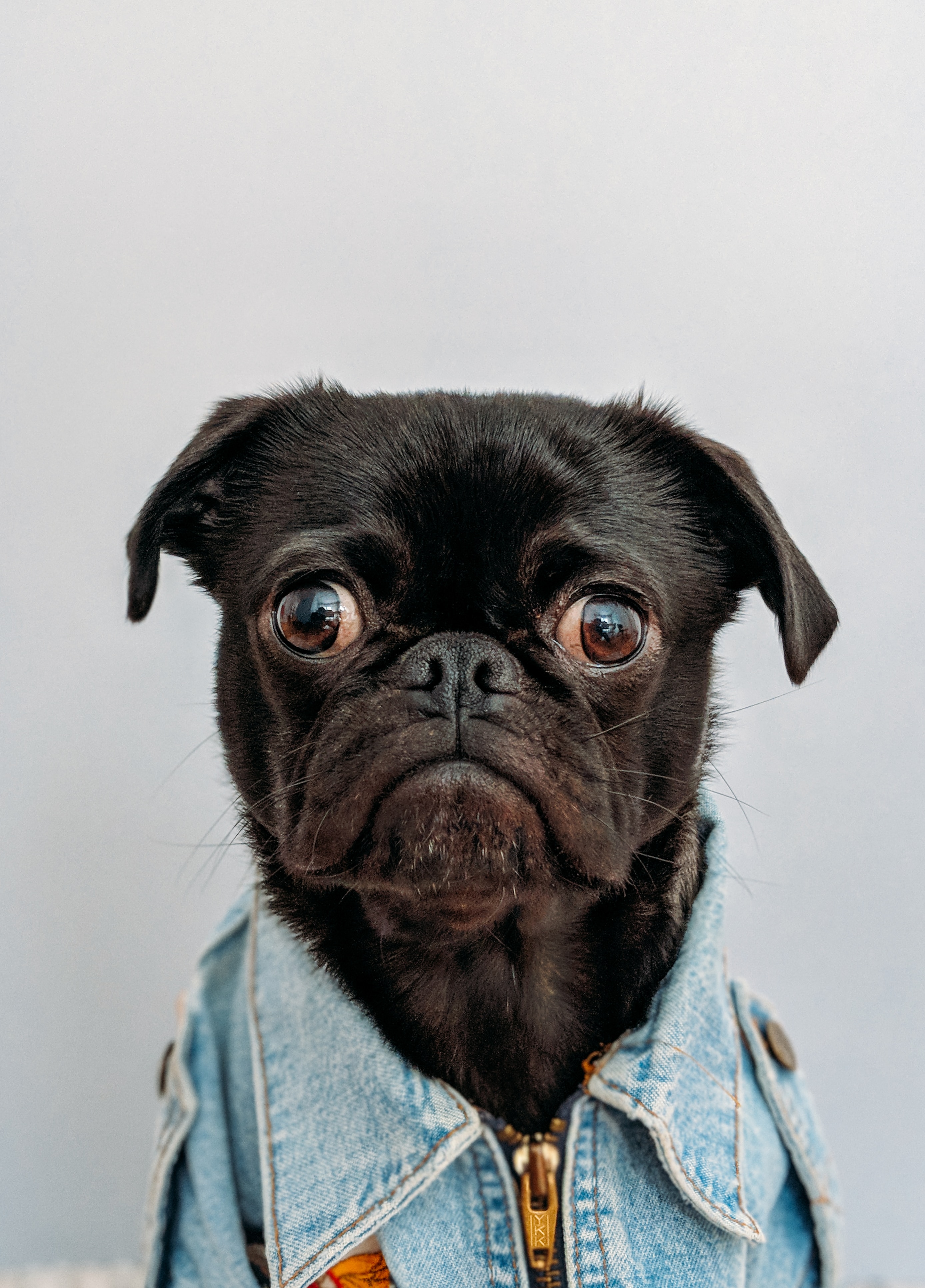 Image by charlesdeluvio