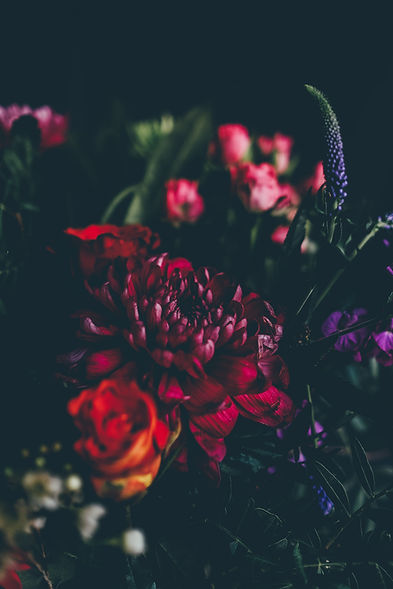 Image by Annie Spratt