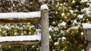 How Snow Might Affect Your Fence: Insights and Precautions