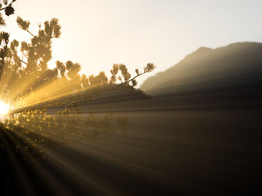 Image de Thomas Kinto