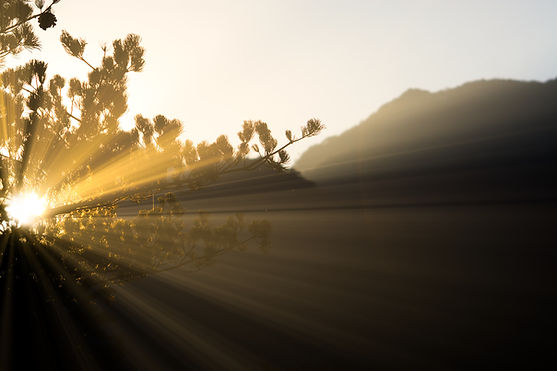 Image by Thomas Kinto