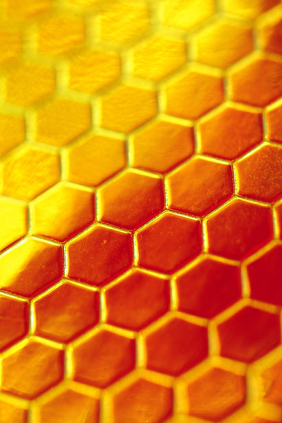 Close-up view of a honeycomb pattern