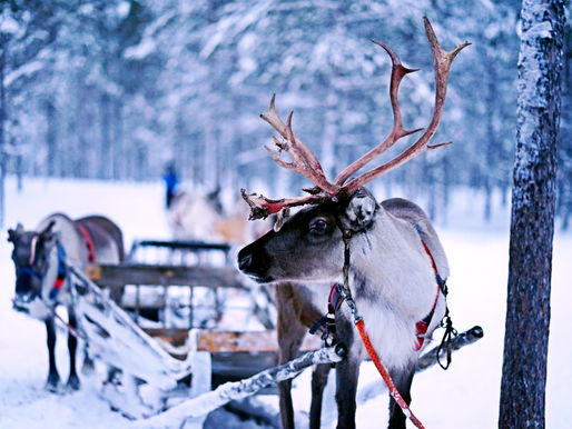 The Joys of Christmas Cruising in Europe: A Magical Journey Down the Danube