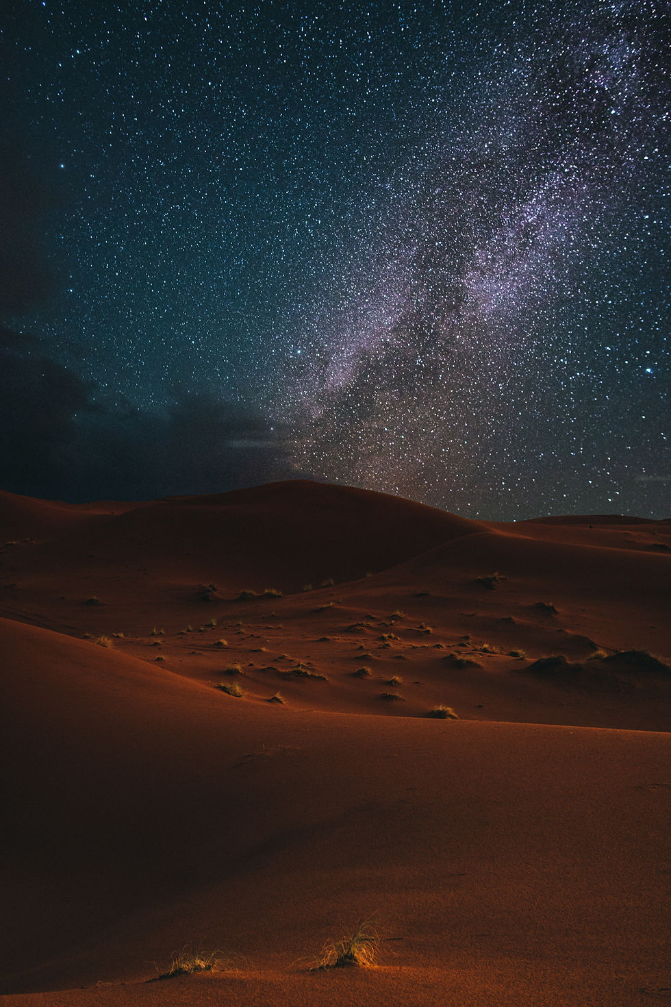 Image by David Billings