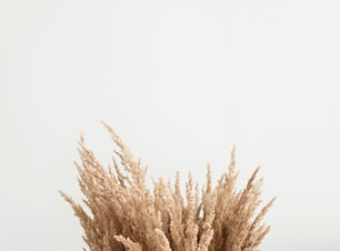 Image by Katsia Jazwinska