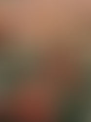 Can Acupuncture Really Support Fertility? (The Answer is "YES!")