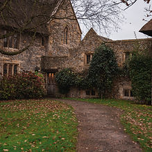 DSC_0339.jpg