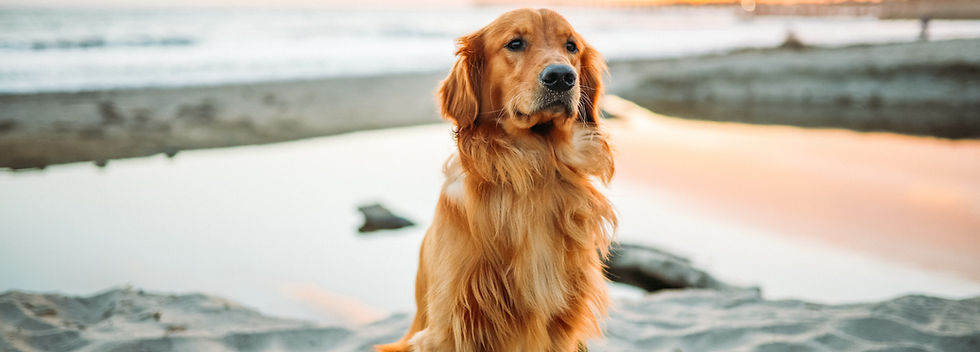 Image by Justin Aikin