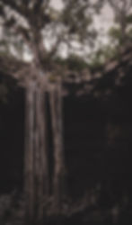 Cacao x Embodiment Journey