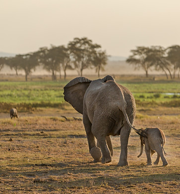Image by Saad Khan
