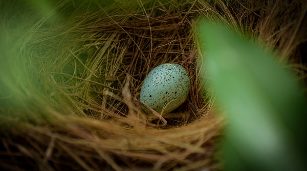 Image by Vignesh Jayaprakash