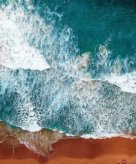 Image by Will Turner