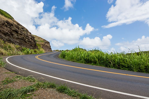 Highway landscape