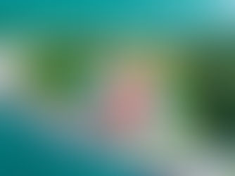 Loi sur la propriété étrangère : ce que tout investisseur doit savoir