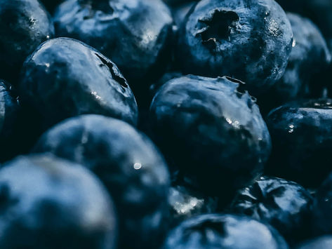 Blueberries | Shayleene MacReynolds
