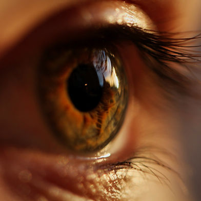 EMDR Therapy