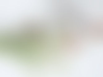 “How would you like your images displayed?”