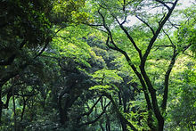 Image by Yukitaka Iha