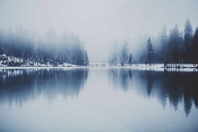 Image by Dominik Dombrowski
