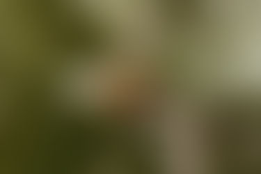 March 20, 2022 - Lent 3