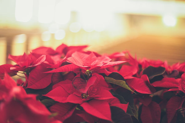 Image by Jessica Fadel