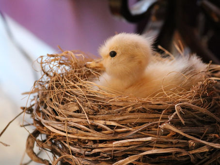 Something Out of Nothing