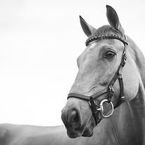 Image by Kirsten LaChance