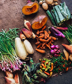 Légumes producteurs bio