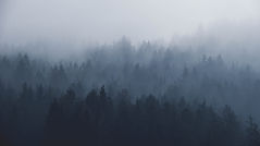 Image by Paul Gilmore