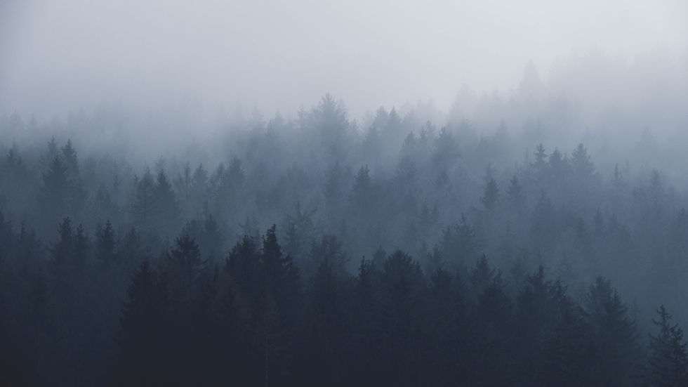 Image by Paul Pastourmatzis