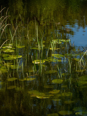 Monday Microfiction: "Come Find Me"