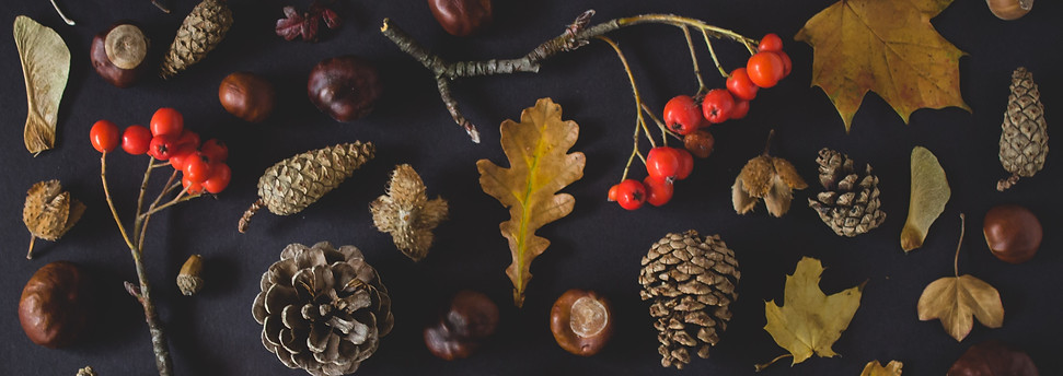 Image by Karolina Badzmierowska