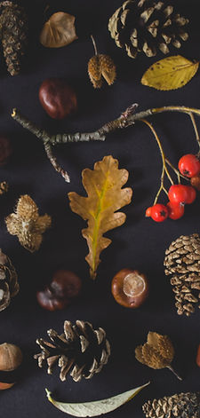 Image by Karolina Badzmierowska